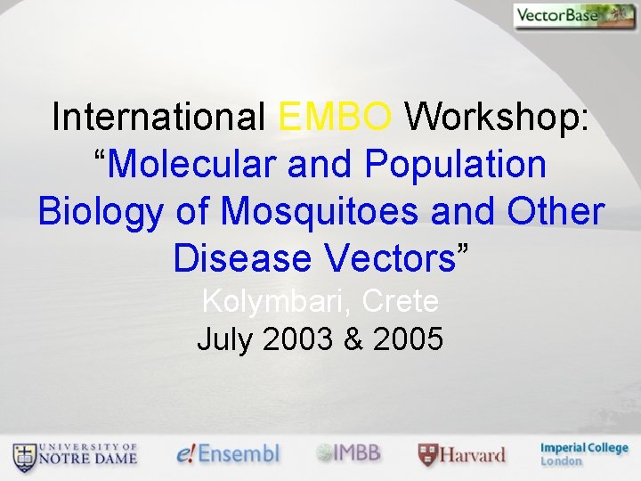 International EMBO Workshop: “Molecular and Population Biology of Mosquitoes and Other Disease Vectors” Kolymbari,