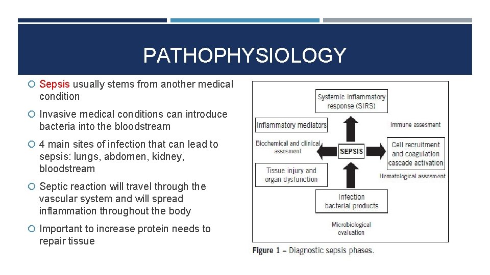 PATHOPHYSIOLOGY Sepsis usually stems from another medical condition Invasive medical conditions can introduce bacteria