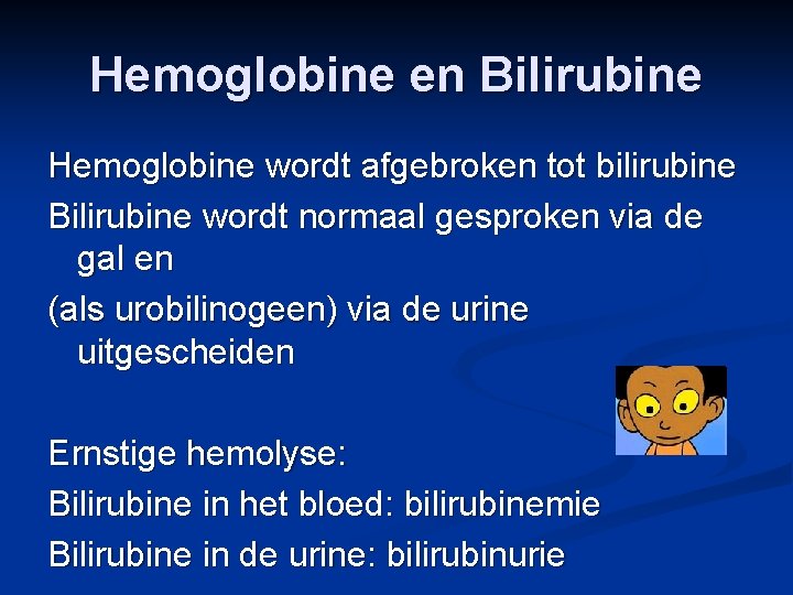 Hemoglobine en Bilirubine Hemoglobine wordt afgebroken tot bilirubine Bilirubine wordt normaal gesproken via de
