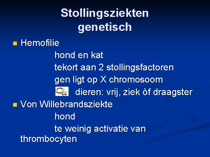 Stollingsziekten genetisch Hemofilie hond en kat tekort aan 2 stollingsfactoren gen ligt op X