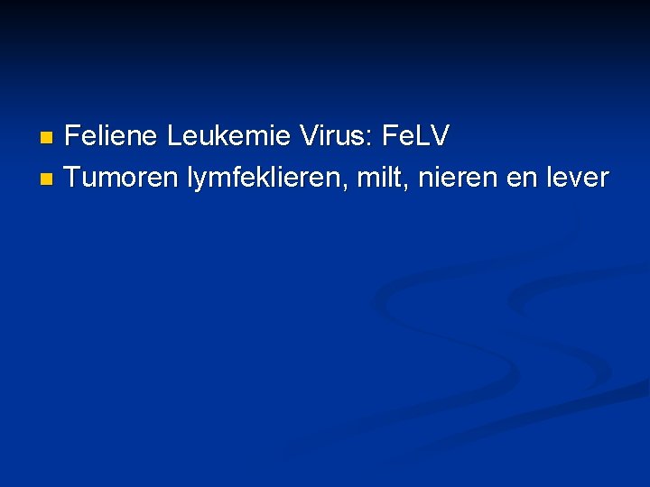 Feliene Leukemie Virus: Fe. LV n Tumoren lymfeklieren, milt, nieren en lever n 