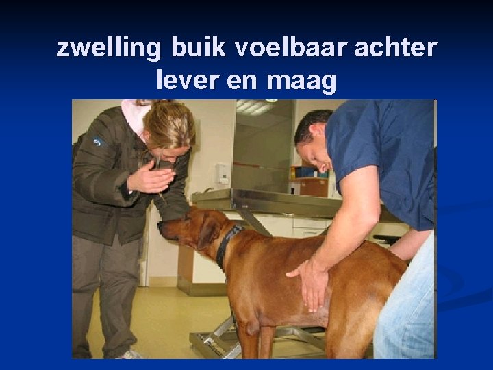 zwelling buik voelbaar achter lever en maag 