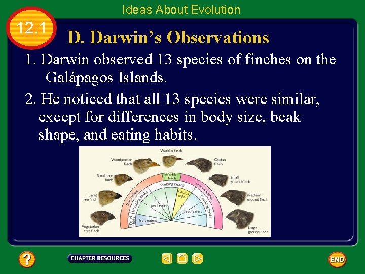 Ideas About Evolution 12. 1 D. Darwin’s Observations 1. Darwin observed 13 species of