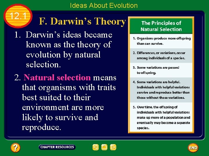 Ideas About Evolution 12. 1 F. Darwin’s Theory 1. Darwin’s ideas became known as