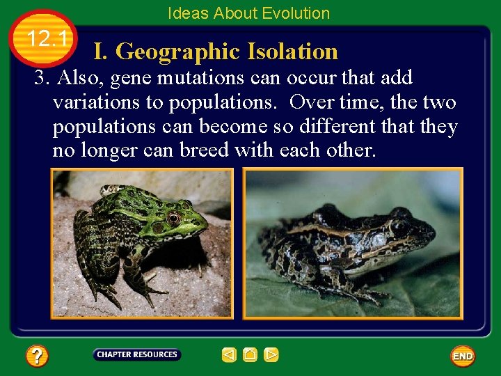 Ideas About Evolution 12. 1 I. Geographic Isolation 3. Also, gene mutations can occur