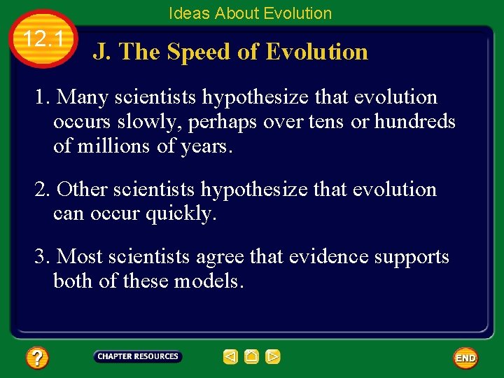 Ideas About Evolution 12. 1 J. The Speed of Evolution 1. Many scientists hypothesize