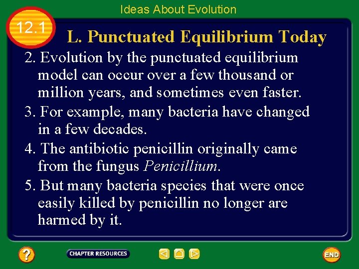 Ideas About Evolution 12. 1 L. Punctuated Equilibrium Today 2. Evolution by the punctuated