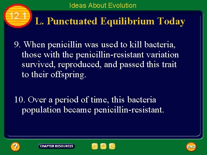 Ideas About Evolution 12. 1 L. Punctuated Equilibrium Today 9. When penicillin was used