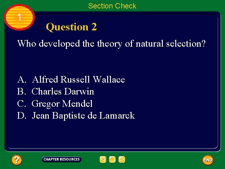 Section Check 1 Question 2 Who developed theory of natural selection? A. B. C.