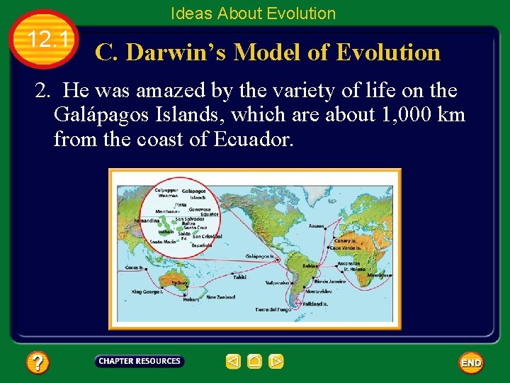 Ideas About Evolution 12. 1 C. Darwin’s Model of Evolution 2. He was amazed