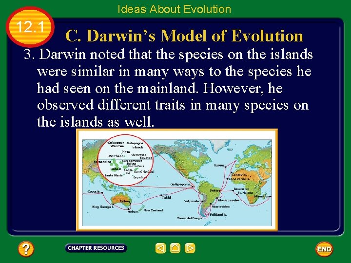 Ideas About Evolution 12. 1 C. Darwin’s Model of Evolution 3. Darwin noted that