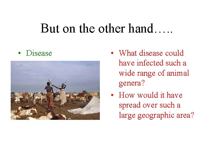 But on the other hand…. . • Disease • What disease could have infected