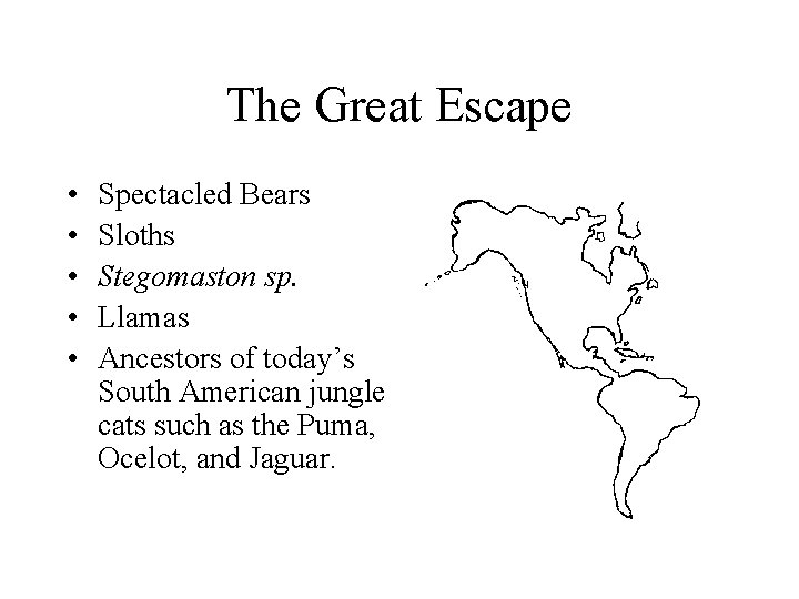 The Great Escape • • • Spectacled Bears Sloths Stegomaston sp. Llamas Ancestors of