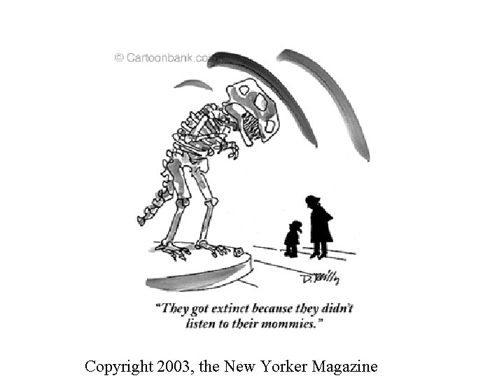 Copyright 2003, the New Yorker Magazine 