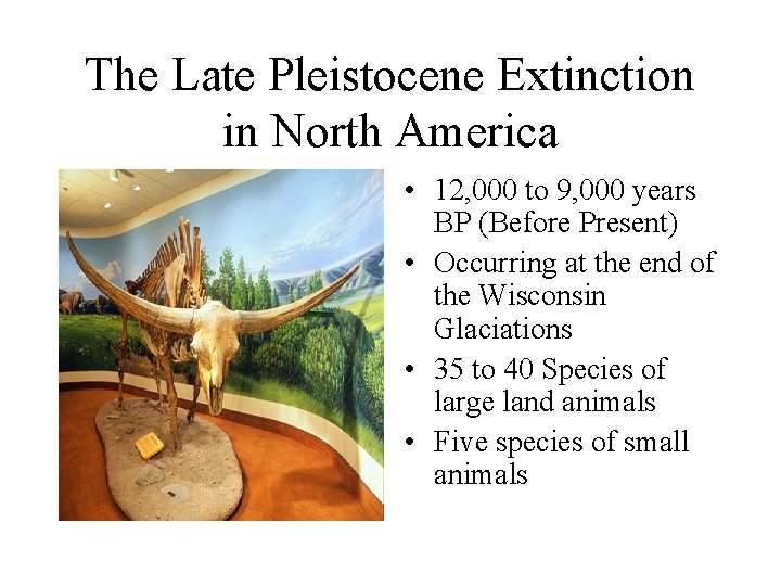 The Late Pleistocene Extinction in North America • 12, 000 to 9, 000 years