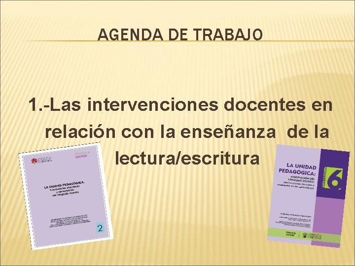 AGENDA DE TRABAJO 1. -Las intervenciones docentes en relación con la enseñanza de la
