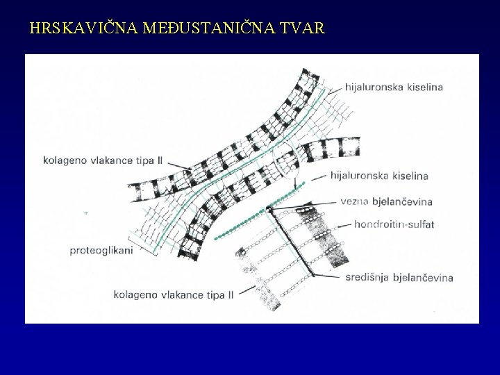 HRSKAVIČNA MEĐUSTANIČNA TVAR 