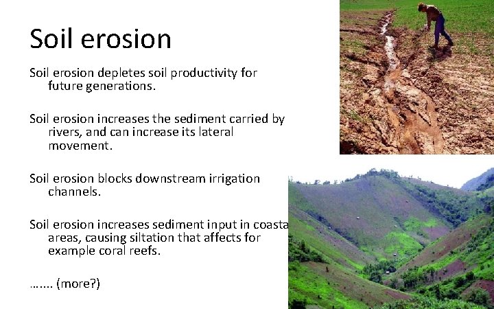 Soil erosion depletes soil productivity for future generations. Soil erosion increases the sediment carried