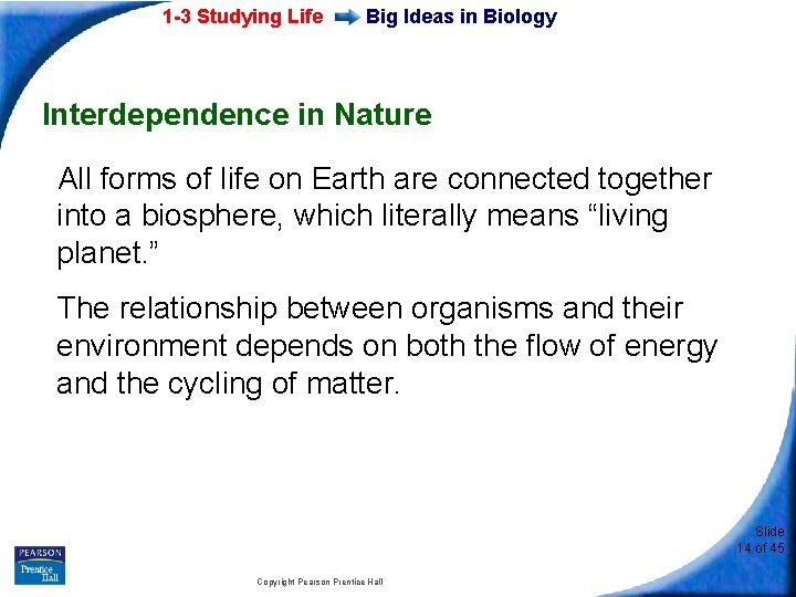 1 -3 Studying Life Big Ideas in Biology Interdependence in Nature All forms of