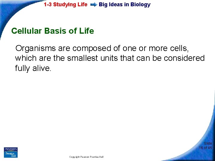 1 -3 Studying Life Big Ideas in Biology Cellular Basis of Life Organisms are