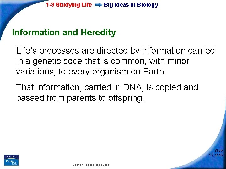 1 -3 Studying Life Big Ideas in Biology Information and Heredity Life’s processes are