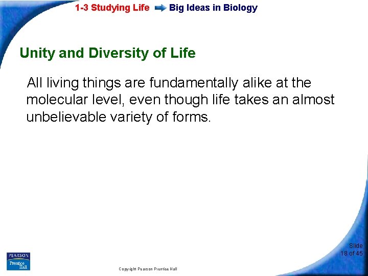 1 -3 Studying Life Big Ideas in Biology Unity and Diversity of Life All