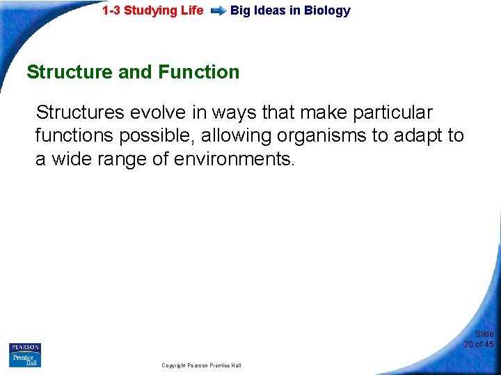 1 -3 Studying Life Big Ideas in Biology Structure and Function Structures evolve in