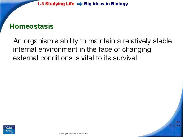 1 -3 Studying Life Big Ideas in Biology Homeostasis An organism’s ability to maintain