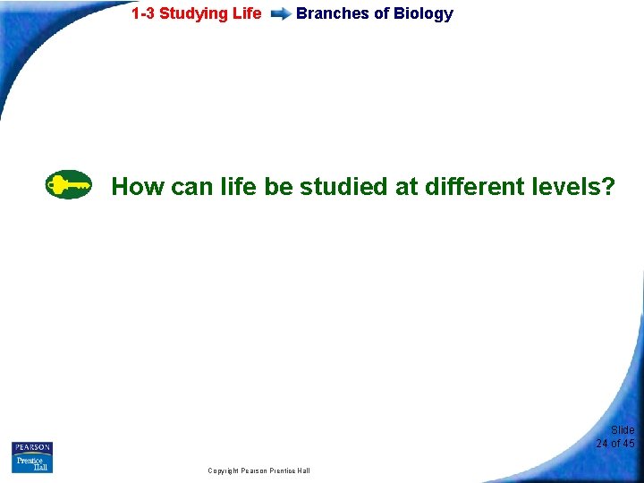 1 -3 Studying Life Branches of Biology How can life be studied at different