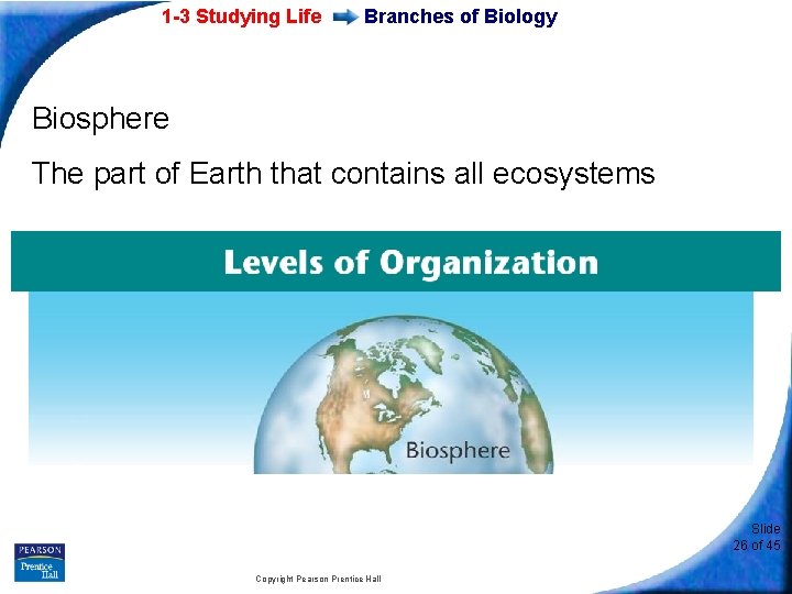 1 -3 Studying Life Branches of Biology Biosphere The part of Earth that contains