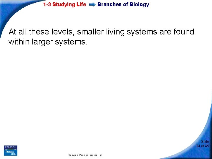 1 -3 Studying Life Branches of Biology At all these levels, smaller living systems