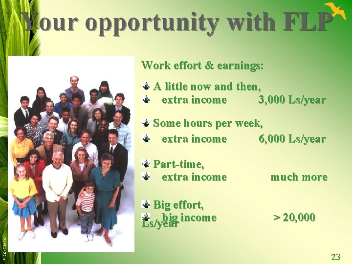 Your opportunity with FLP Work effort & earnings: A little now and then, extra