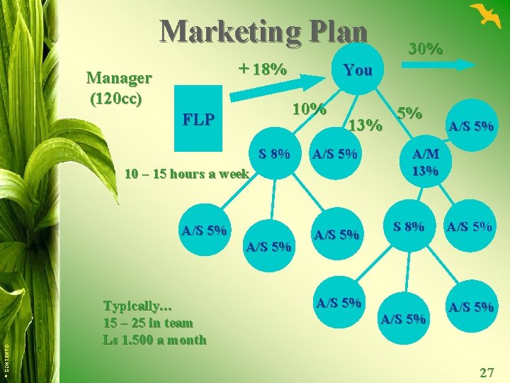 Marketing Plan + 18% Manager (120 cc) You 10% FLP S 8% 13% A/S