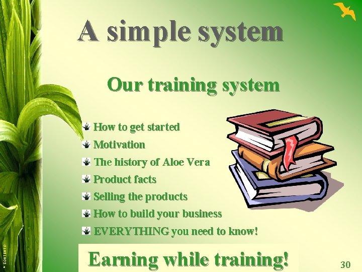 A simple system Our training system How to get started Motivation The history of