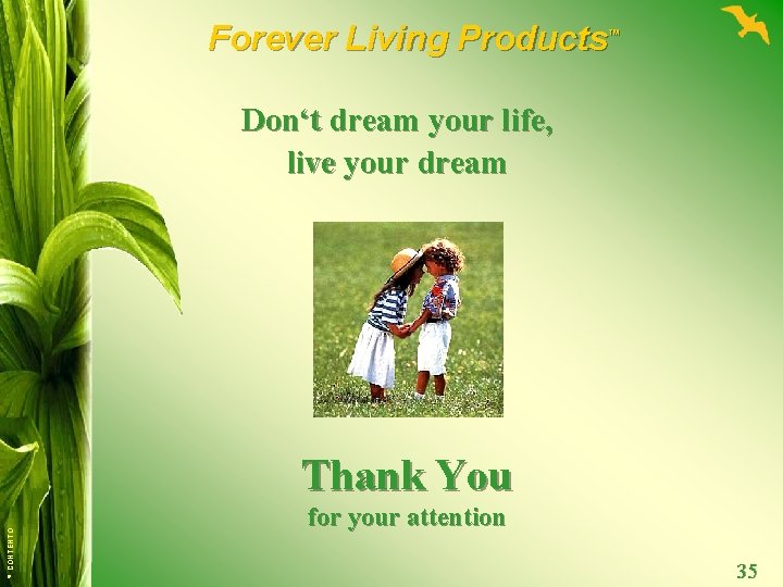 Forever Living Products ™ Don‘t dream your life, live your dream © CONTENTO Thank