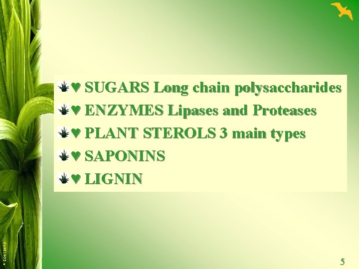 © CONTENTO ♥ SUGARS Long chain polysaccharides ♥ ENZYMES Lipases and Proteases ♥ PLANT