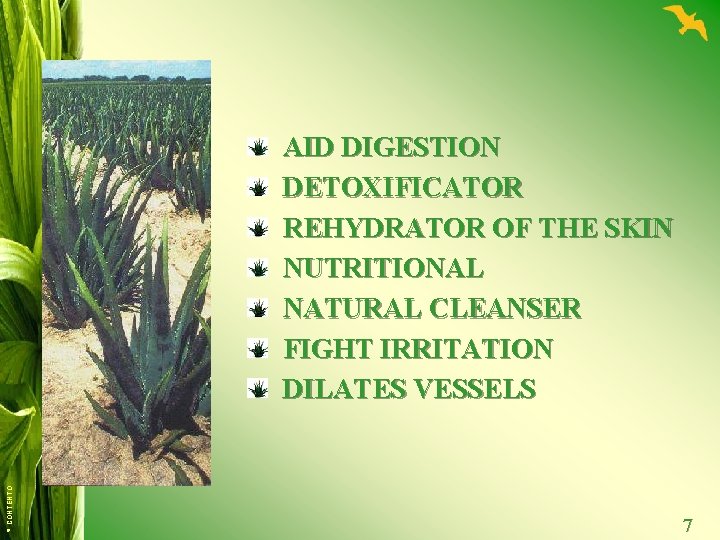 © CONTENTO AID DIGESTION DETOXIFICATOR REHYDRATOR OF THE SKIN NUTRITIONAL NATURAL CLEANSER FIGHT IRRITATION