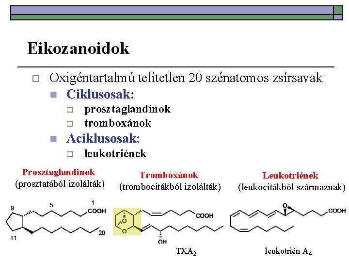 Eikozanoidok o Oxigéntartalmú telítetlen 20 szénatomos zsírsavak n Ciklusosak: o o n prosztaglandinok tromboxánok