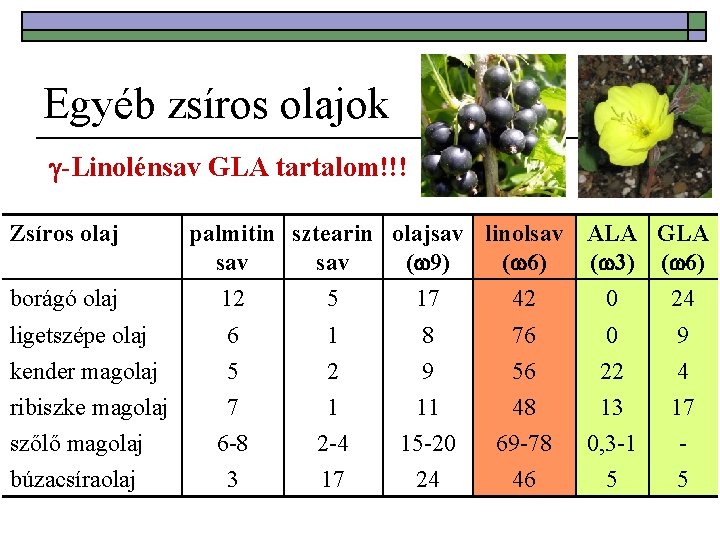 Egyéb zsíros olajok -Linolénsav GLA tartalom!!! Zsíros olaj borágó olaj ligetszépe olaj kender magolaj