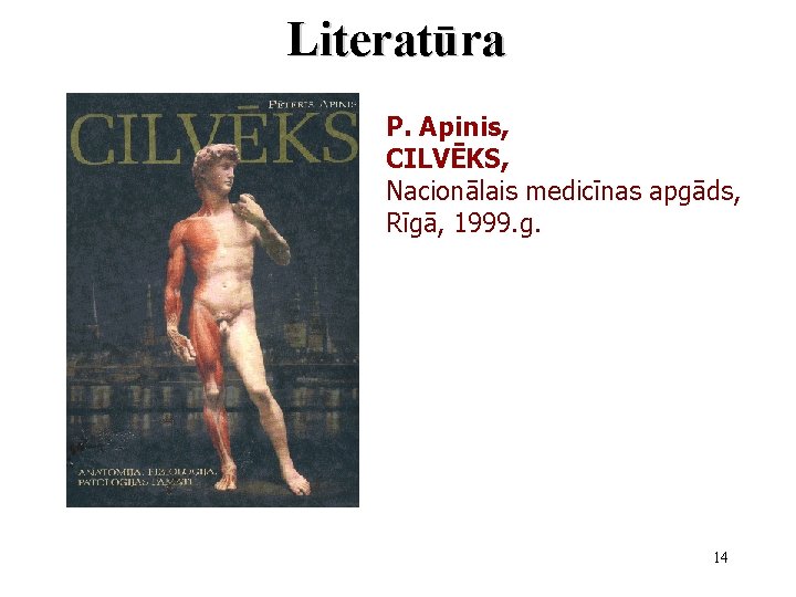 Literatūra P. Apinis, CILVĒKS, Nacionālais medicīnas apgāds, Rīgā, 1999. g. 14 