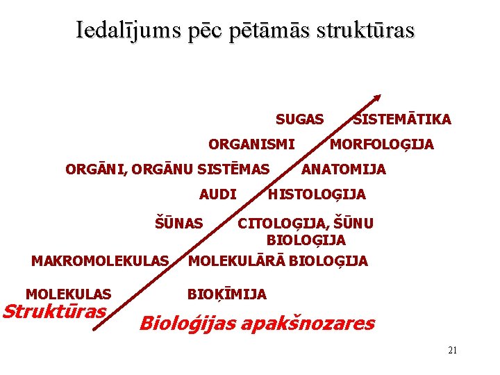 Iedalījums pēc pētāmās struktūras SUGAS ORGANISMI ORGĀNI, ORGĀNU SISTĒMAS AUDI SISTEMĀTIKA MORFOLOĢIJA ANATOMIJA HISTOLOĢIJA