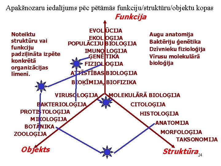 Apakšnozaru iedalījums pēc pētāmās funkciju/struktūru/objektu kopas Funkcija Noteiktu struktūru vai funkciju padziļināta izpēte konkrētā