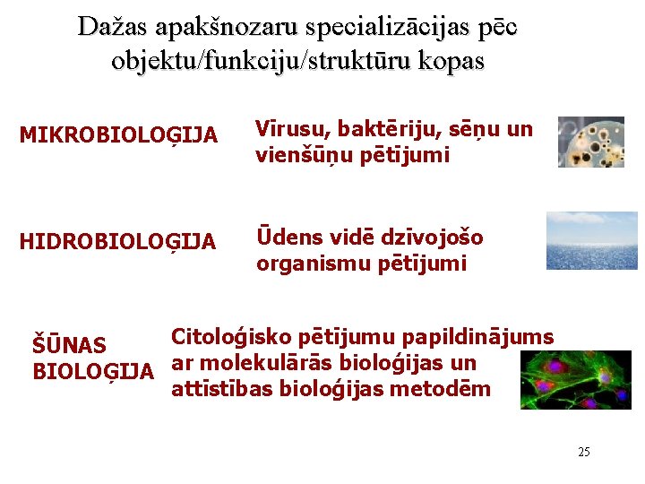 Dažas apakšnozaru specializācijas pēc objektu/funkciju/struktūru kopas MIKROBIOLOĢIJA Vīrusu, baktēriju, sēņu un vienšūņu pētījumi HIDROBIOLOĢIJA