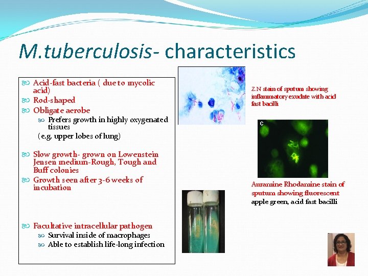 M. tuberculosis- characteristics Acid-fast bacteria ( due to mycolic acid) Rod-shaped Obligate aerobe Prefers