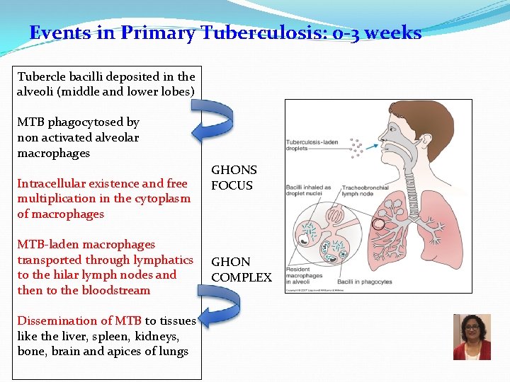 Events in Primary Tuberculosis: 0 -3 weeks Tubercle bacilli deposited in the alveoli (middle