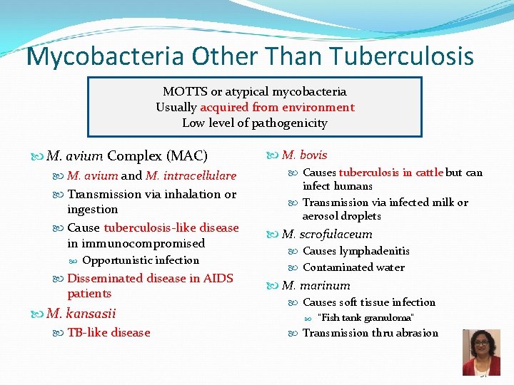 Mycobacteria Other Than Tuberculosis MOTTS or atypical mycobacteria Usually acquired from environment Low level