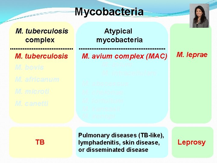 Mycobacteria M. tuberculosis complex M. tuberculosis M. bovis M. africanum M. microti M. canetti