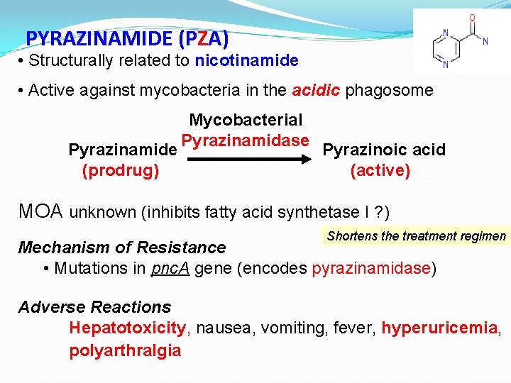 PYRAZINAMIDE (PZA) • Structurally related to nicotinamide • Active against mycobacteria in the acidic