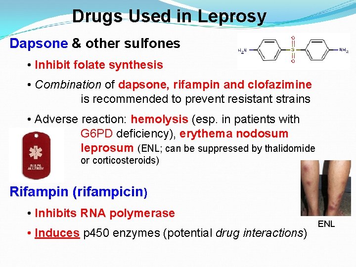 Drugs Used in Leprosy Dapsone & other sulfones • Inhibit folate synthesis • Combination