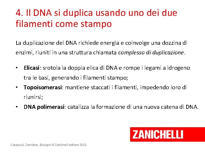 4. Il DNA si duplica usando uno dei due filamenti come stampo La duplicazione